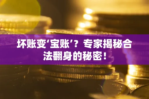 北京坏账变‘宝账’？专家揭秘合法翻身的秘密！