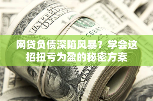 北京网贷负债深陷风暴？学会这招扭亏为盈的秘密方案